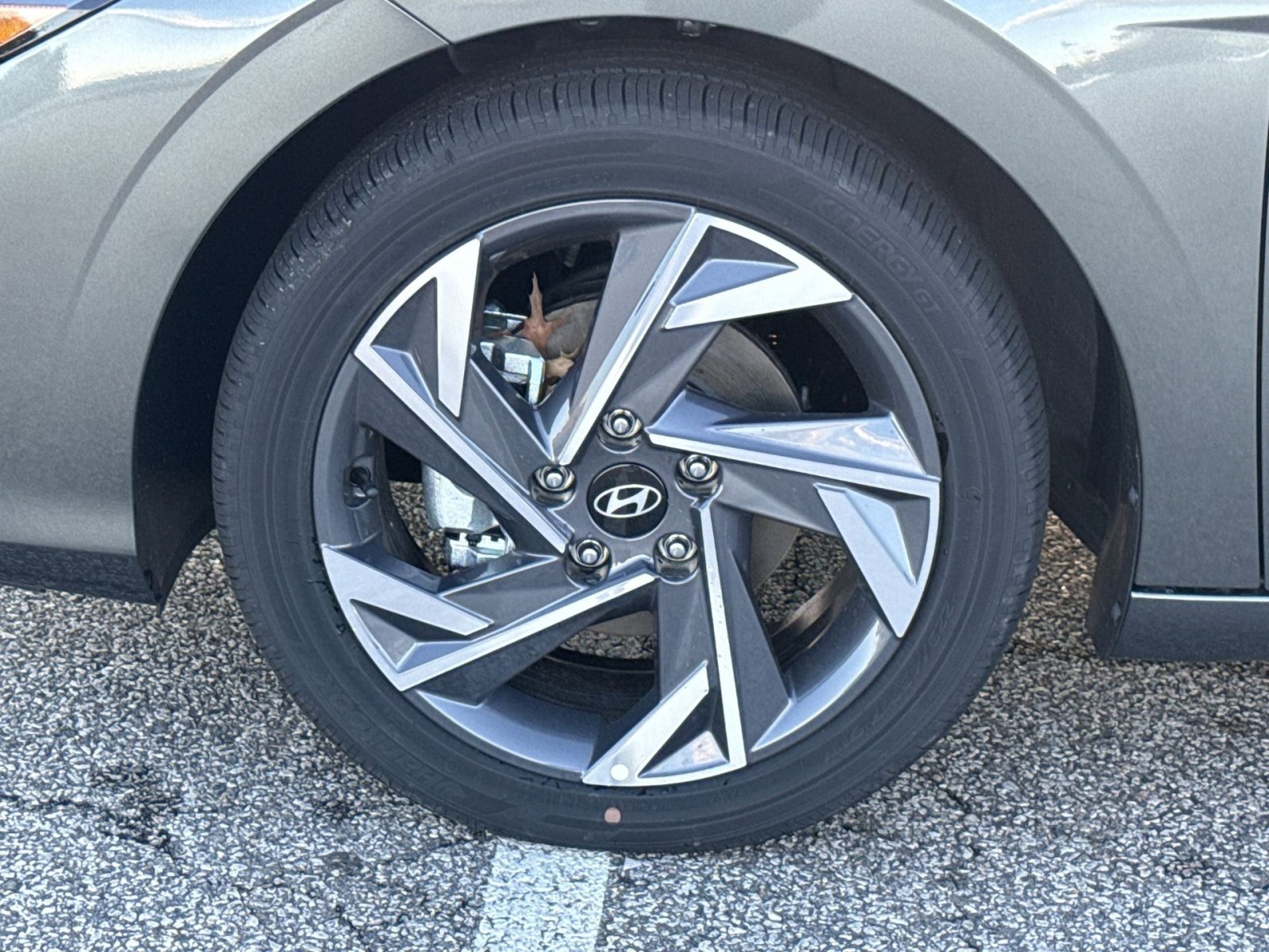 New 2025 Hyundai Elantra Limited image 12