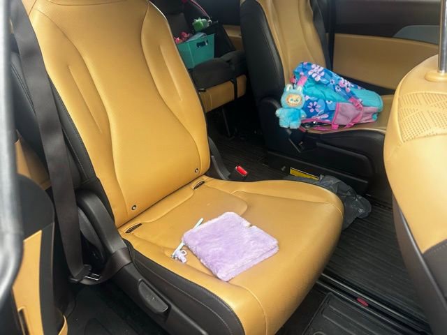 Used 2024 Kia Carnival LX image 7