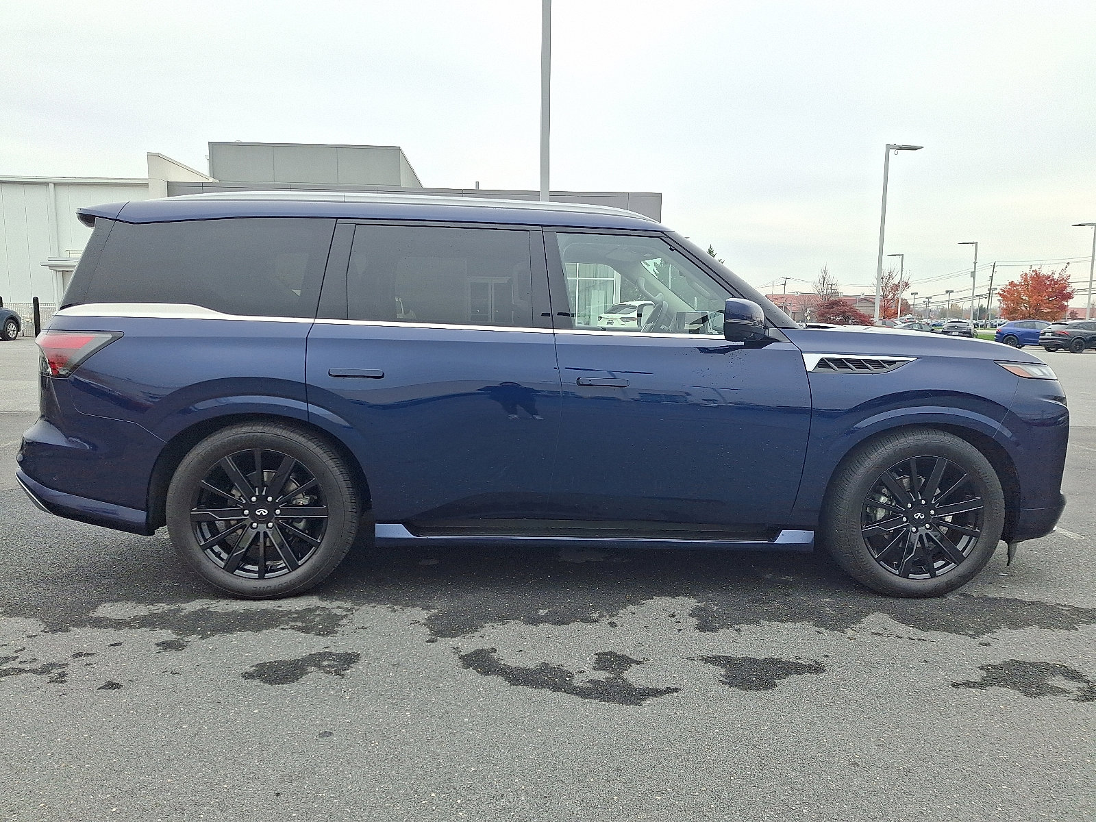 Certified 2025 INFINITI QX80 Sensory image 7