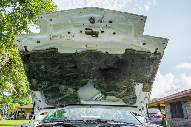 Used 1989 Pontiac Firebird Trans Am RWD image 18