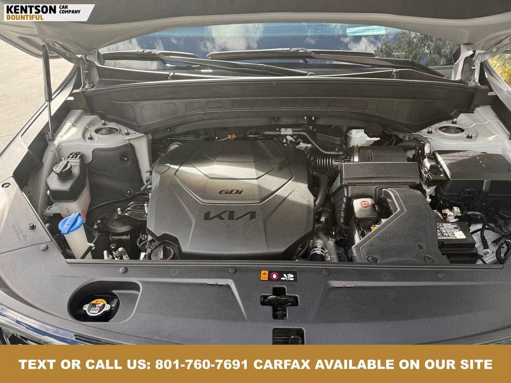 Used 2024 Kia Telluride SX Prestige X-Line image 46
