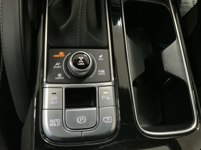 Used 2024 Kia Telluride SX Prestige X-Pro AWD/4WD image 47