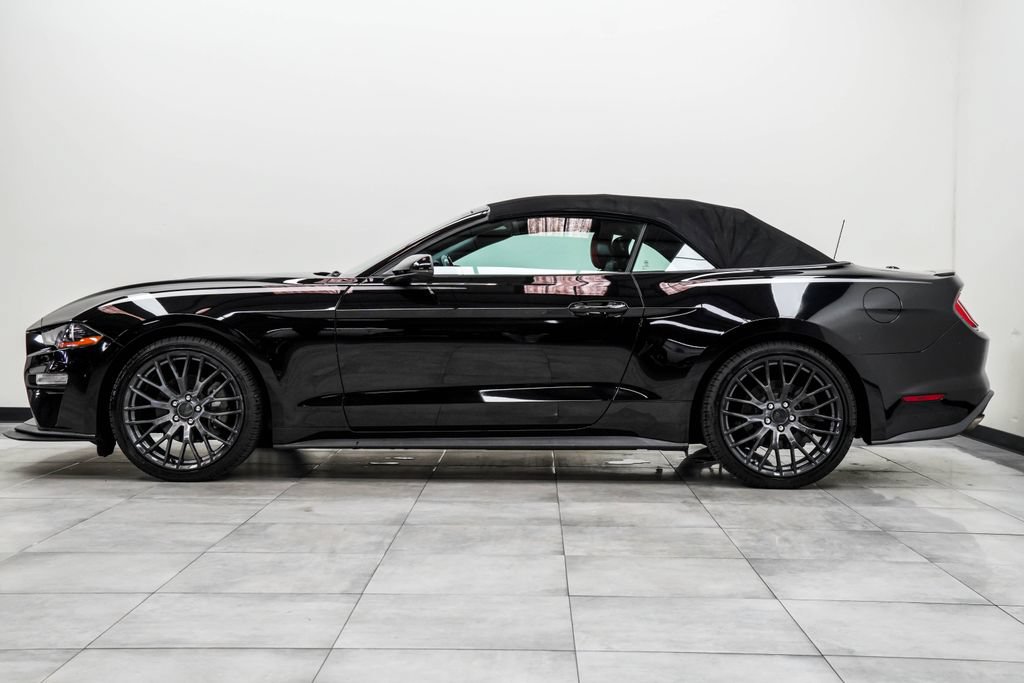 Used 2019 Ford Mustang Premium w/ Equipment Group 201A RWD image 6