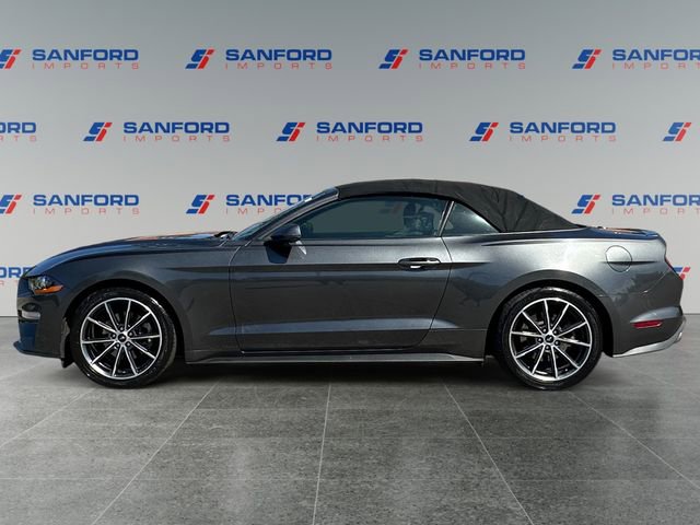 Used 2019 Ford Mustang Premium w/ Equipment Group 201A RWD image 2