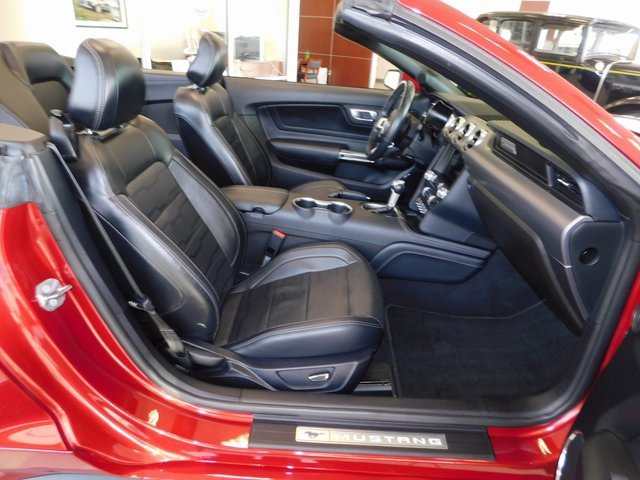 Used 2019 Ford Mustang GT Premium w/ Equipment Group 401A image 15