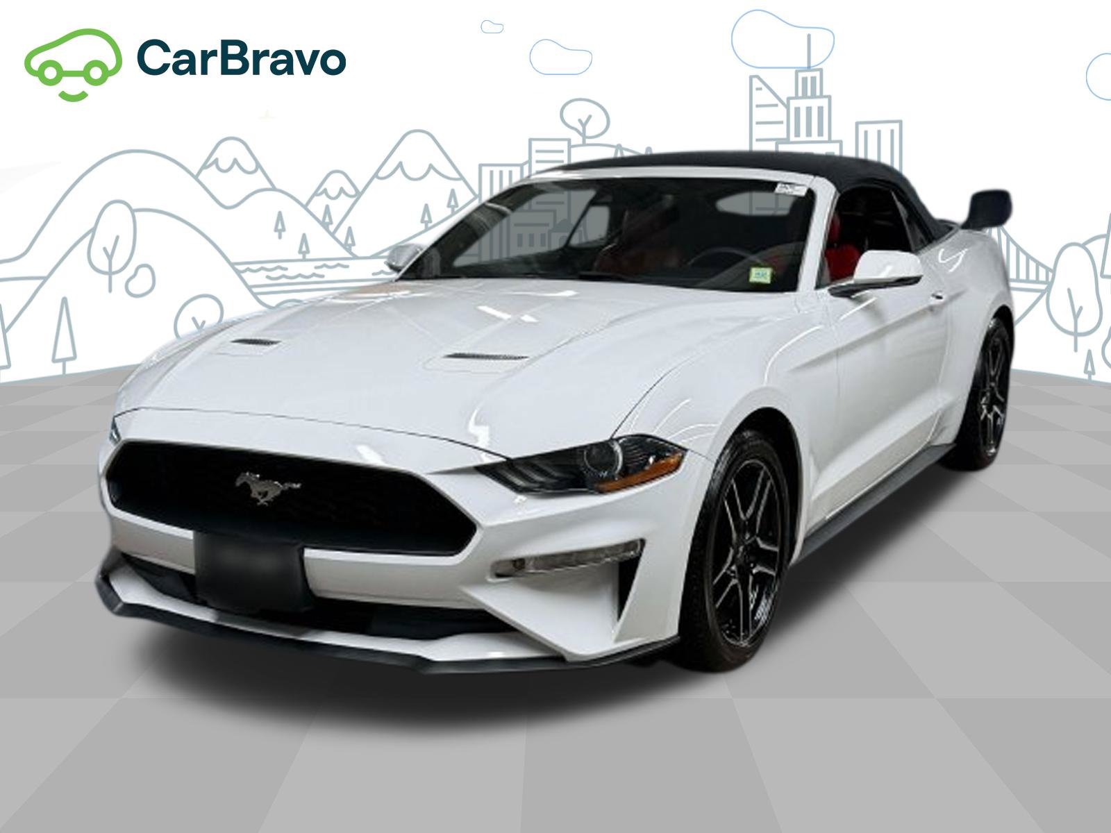 Used 2019 Ford Mustang Premium w/ Equipment Group 201A