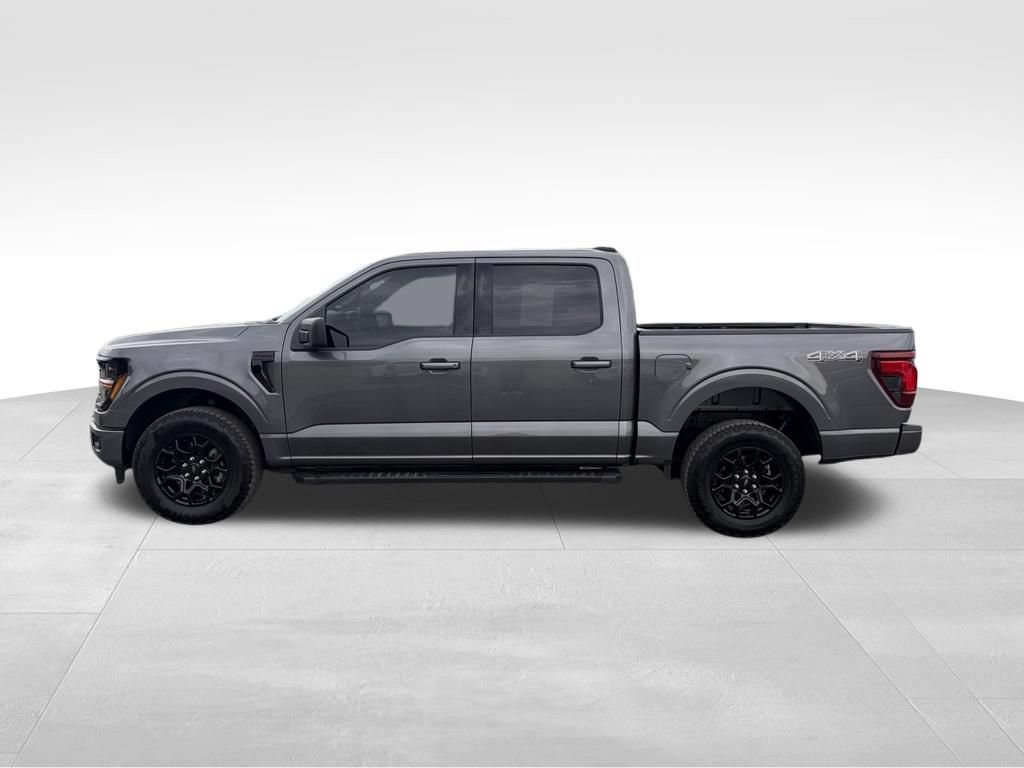Used 2025 Ford F150 XLT w/ Equipment Group 301A Standard AWD/4WD image 13