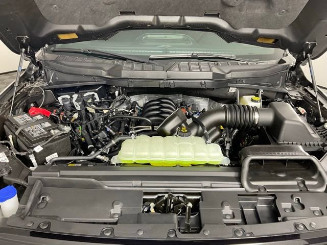 New 2026 Ford F150 XLT w/ Equipment Group 302A MID image 9