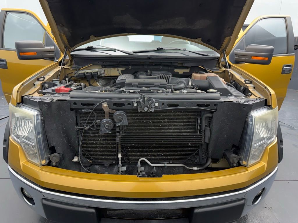 Used 2009 Ford F150 XLT image 15