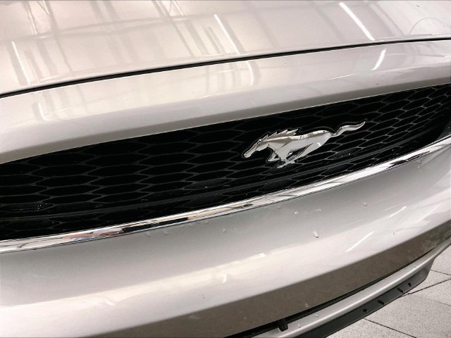 Used 2014 Ford Mustang Premium w/ Comfort Package RWD image 30