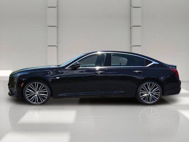 New 2026 Cadillac CT5 Premium Luxury RWD image 2