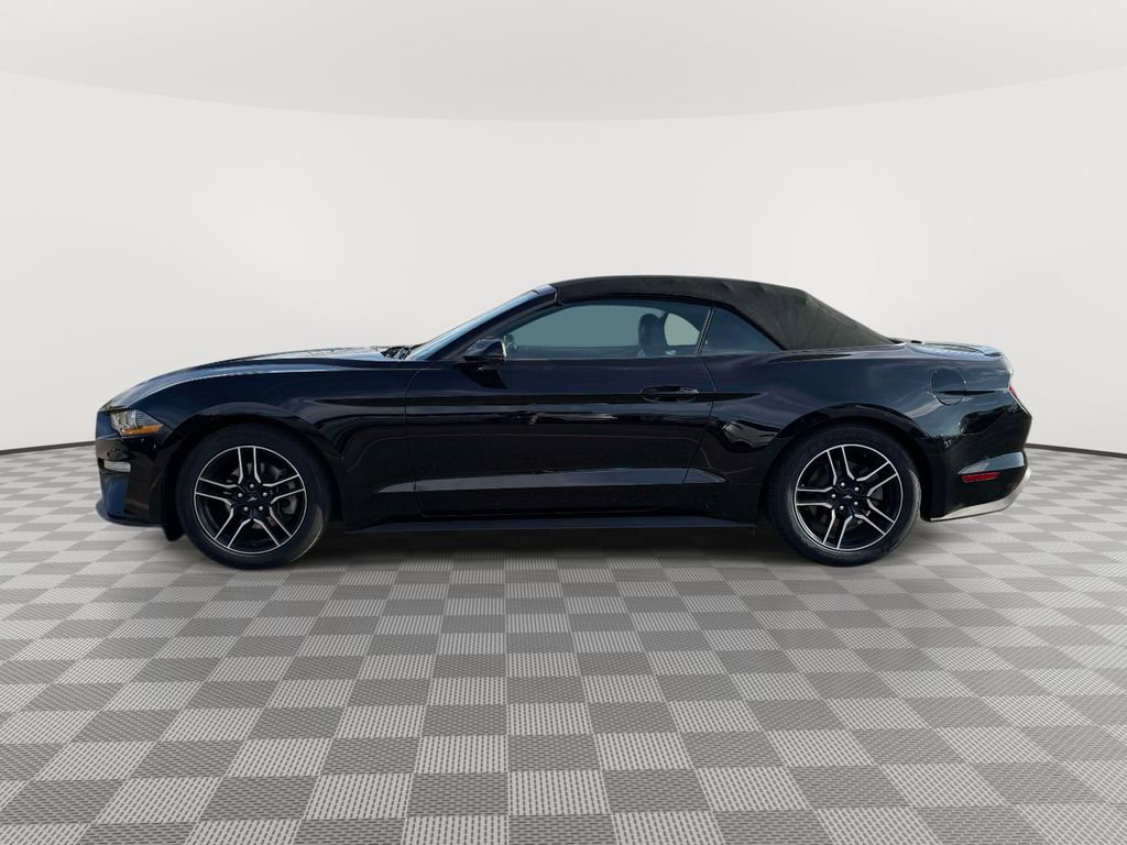 Used 2022 Ford Mustang Premium w/ Equipment Group 201A image 4