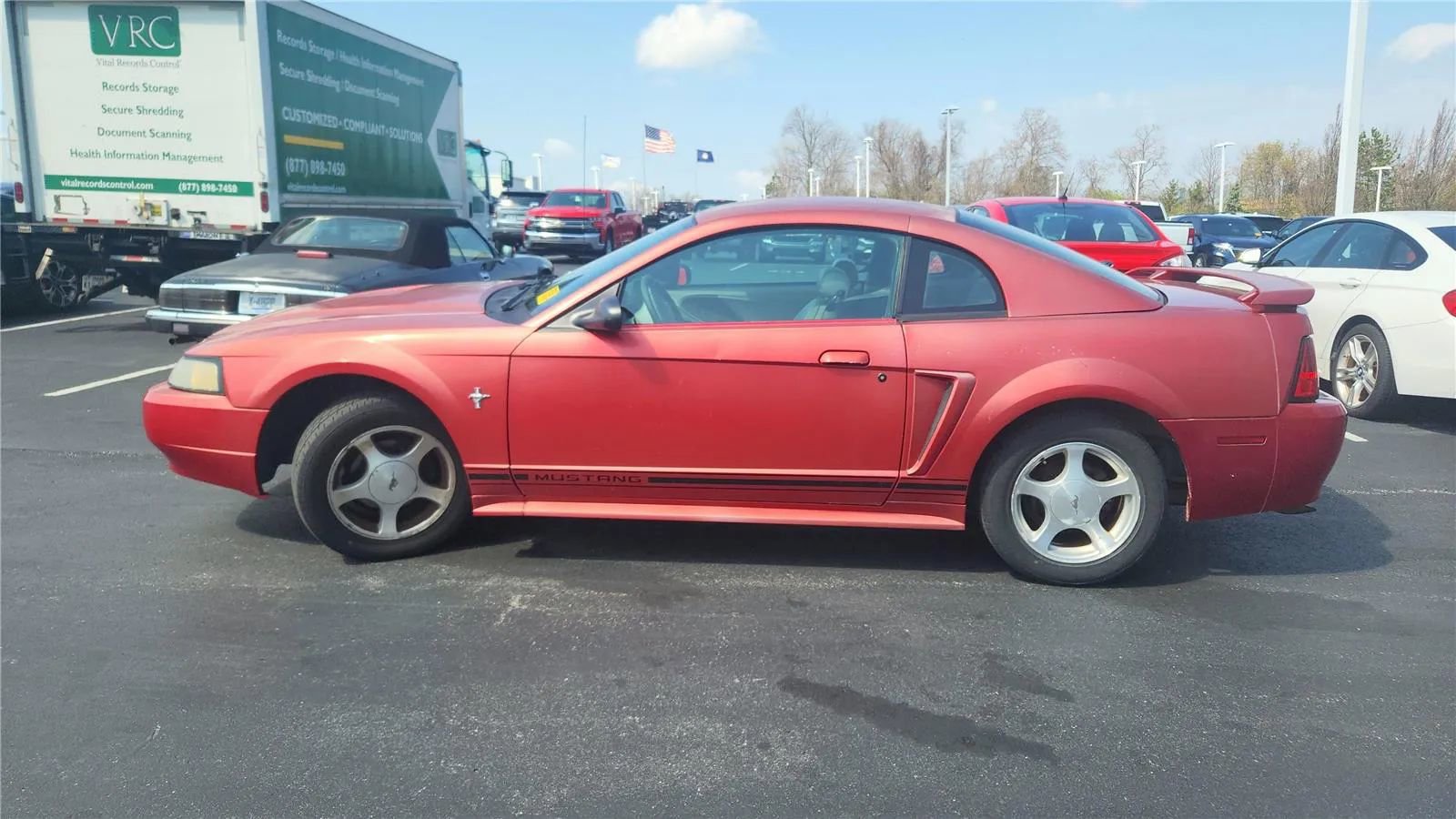Used 2001 Ford Mustang Coupe RWD image 5