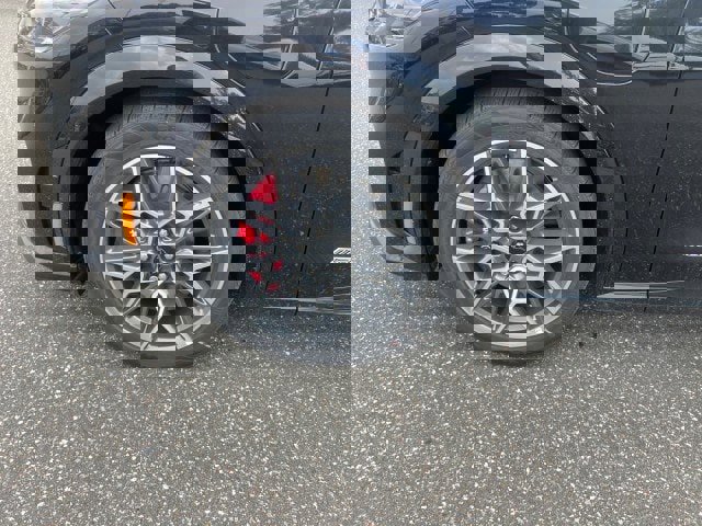 New 2025 Ford Mustang Mach-E GT w/ Interior Protection Package image 23