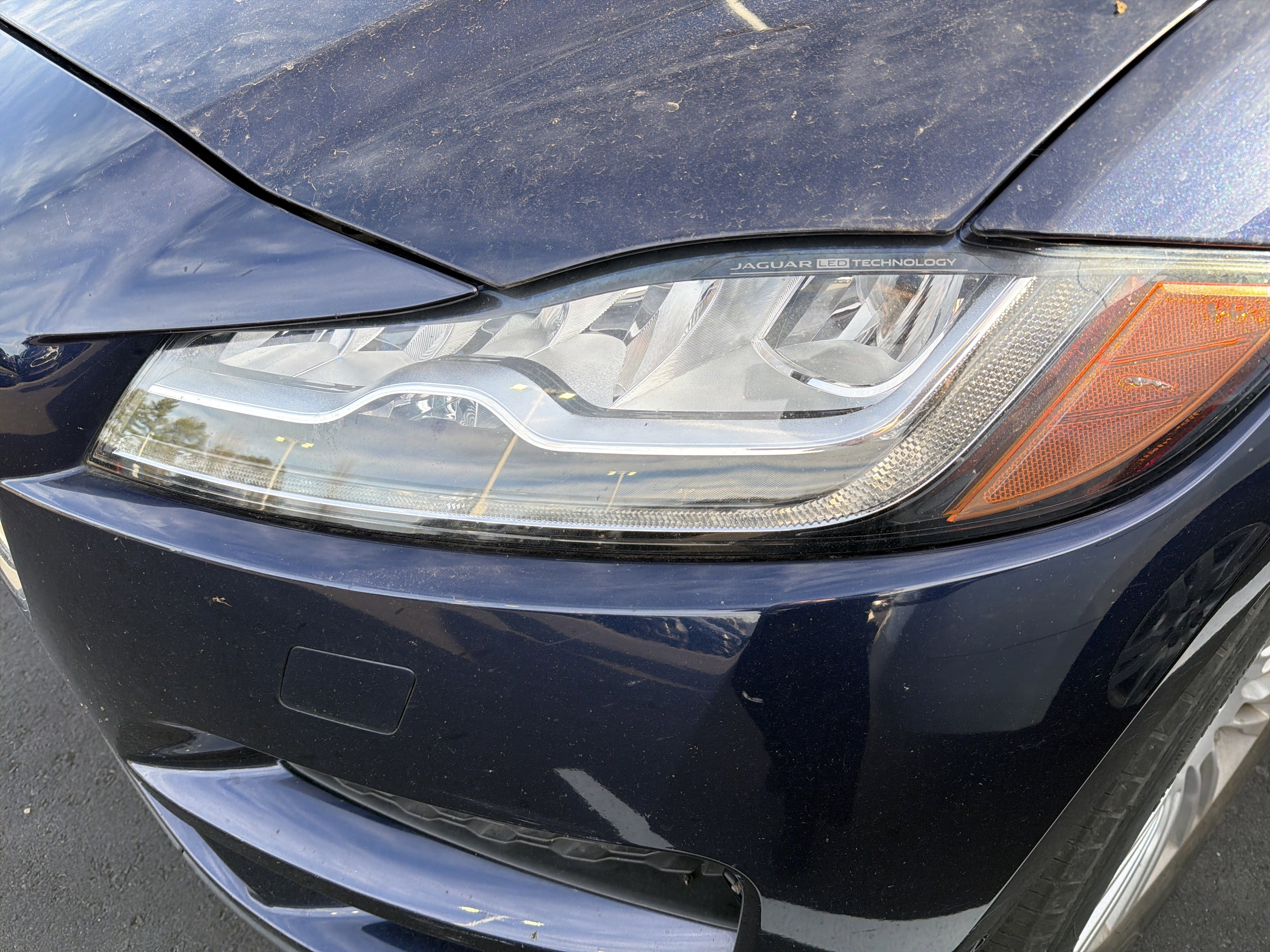 Used 2019 Jaguar F-PACE Portfolio image 6