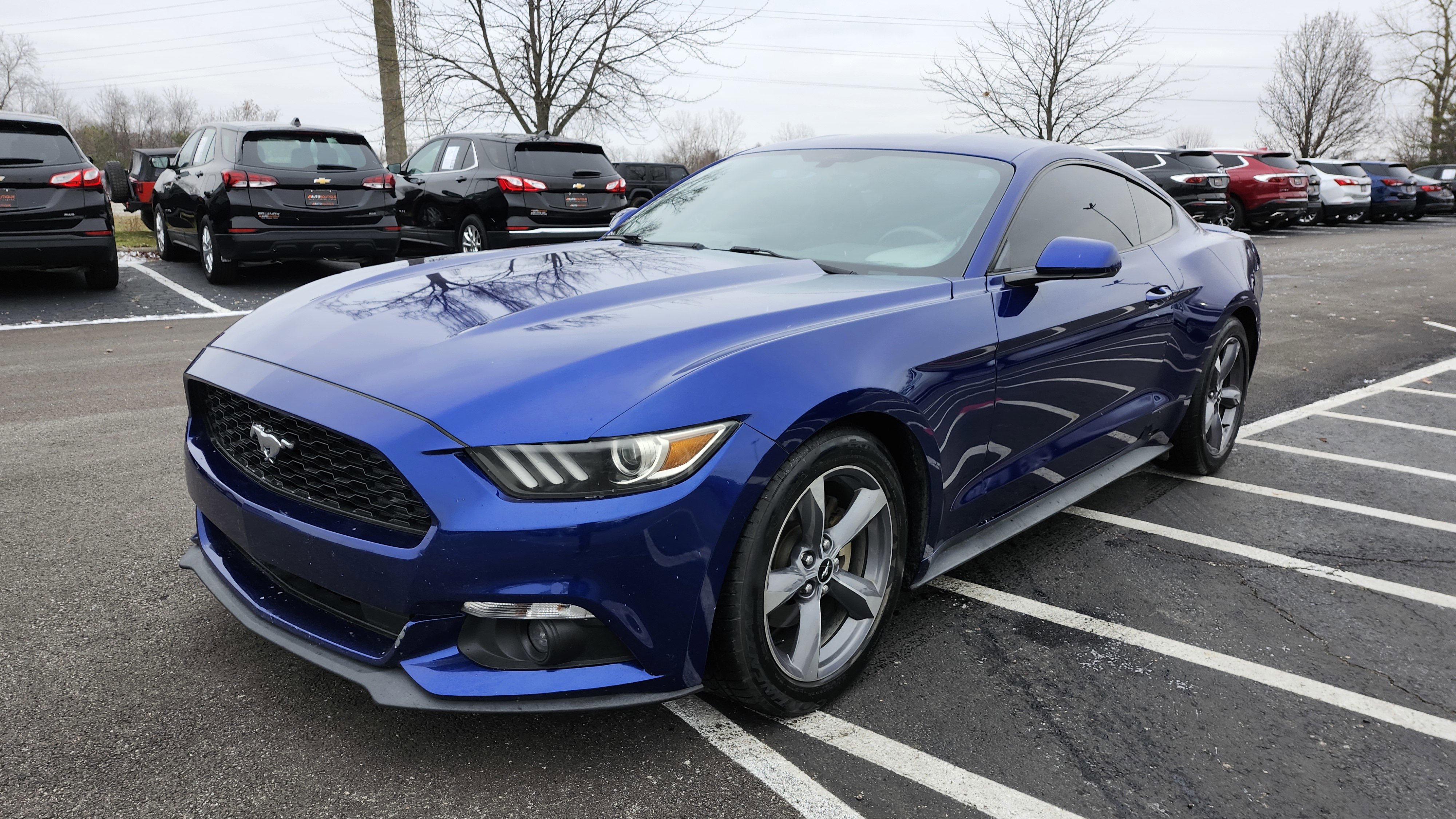 Used 2015 Ford Mustang Coupe w/ Equipment Group 051A image 11