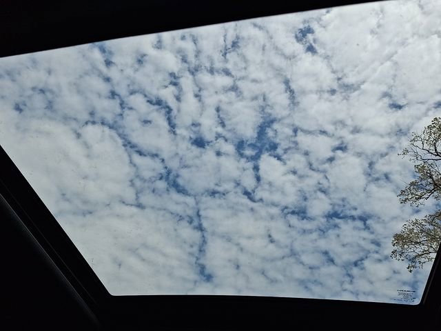 Certified 2025 Subaru Forester Premium image 14