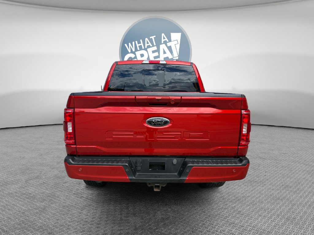 Used 2023 Ford F150 XLT w/ Equipment Group 302A High AWD/4WD image 5
