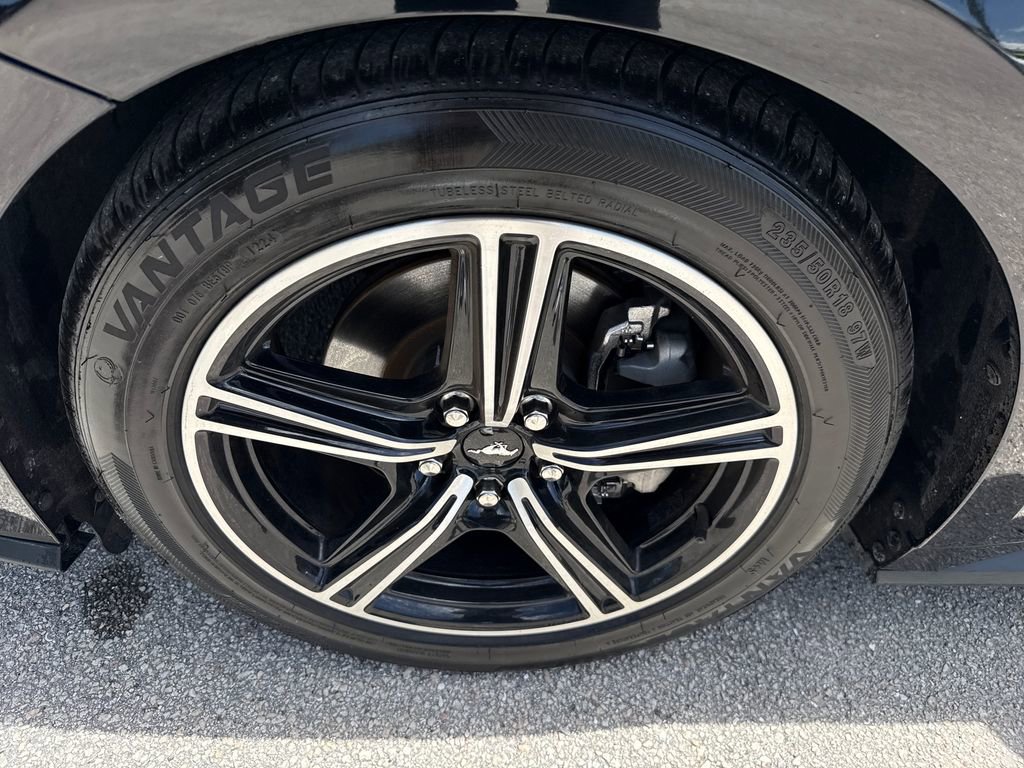 Used 2024 Ford Mustang Premium image 13