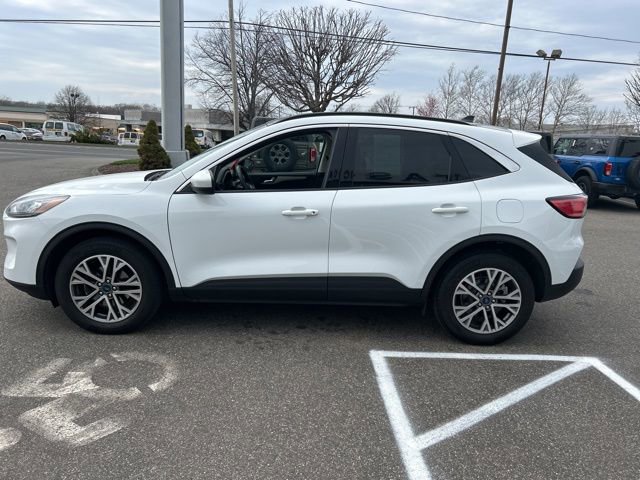 Used 2022 Ford Escape SEL image 4