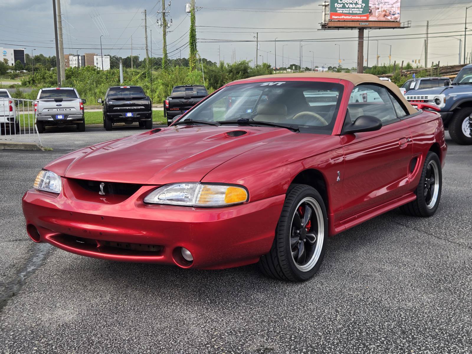 Used 1998 Ford Mustang Cobra RWD image 2