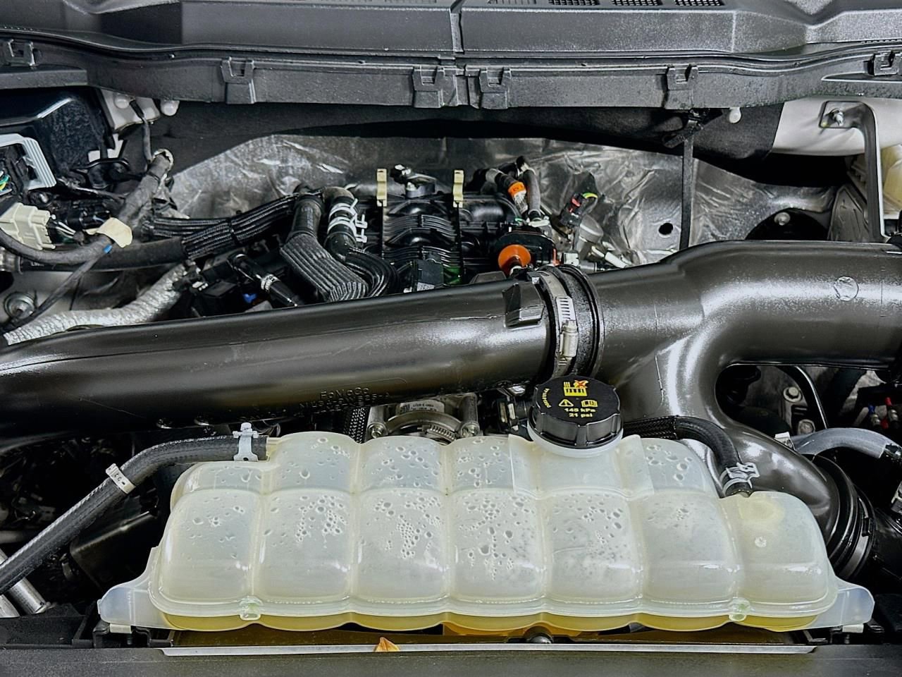 Used 2025 Ford F150 XLT w/ Equipment Group 301A Standard image 45