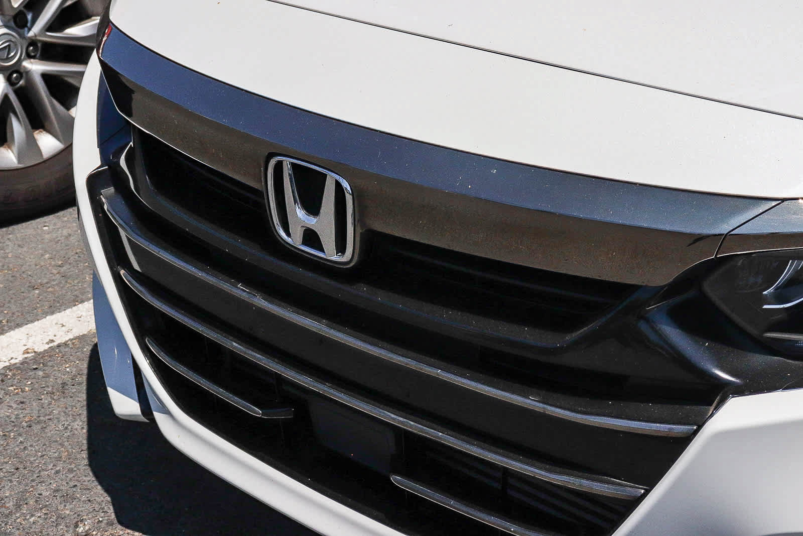 Used 2021 Honda Accord Sport Special Edition image 3