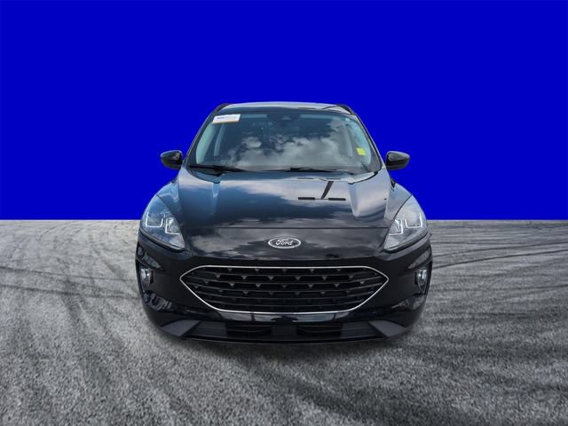Certified 2022 Ford Escape SEL w/ SEL Stealth AWD Package image 9