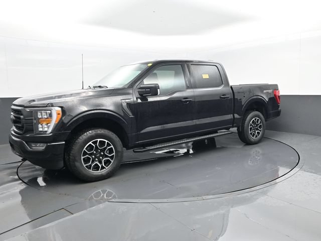 Used 2023 Ford F150 XLT w/ Equipment Group 302A High AWD/4WD image 1
