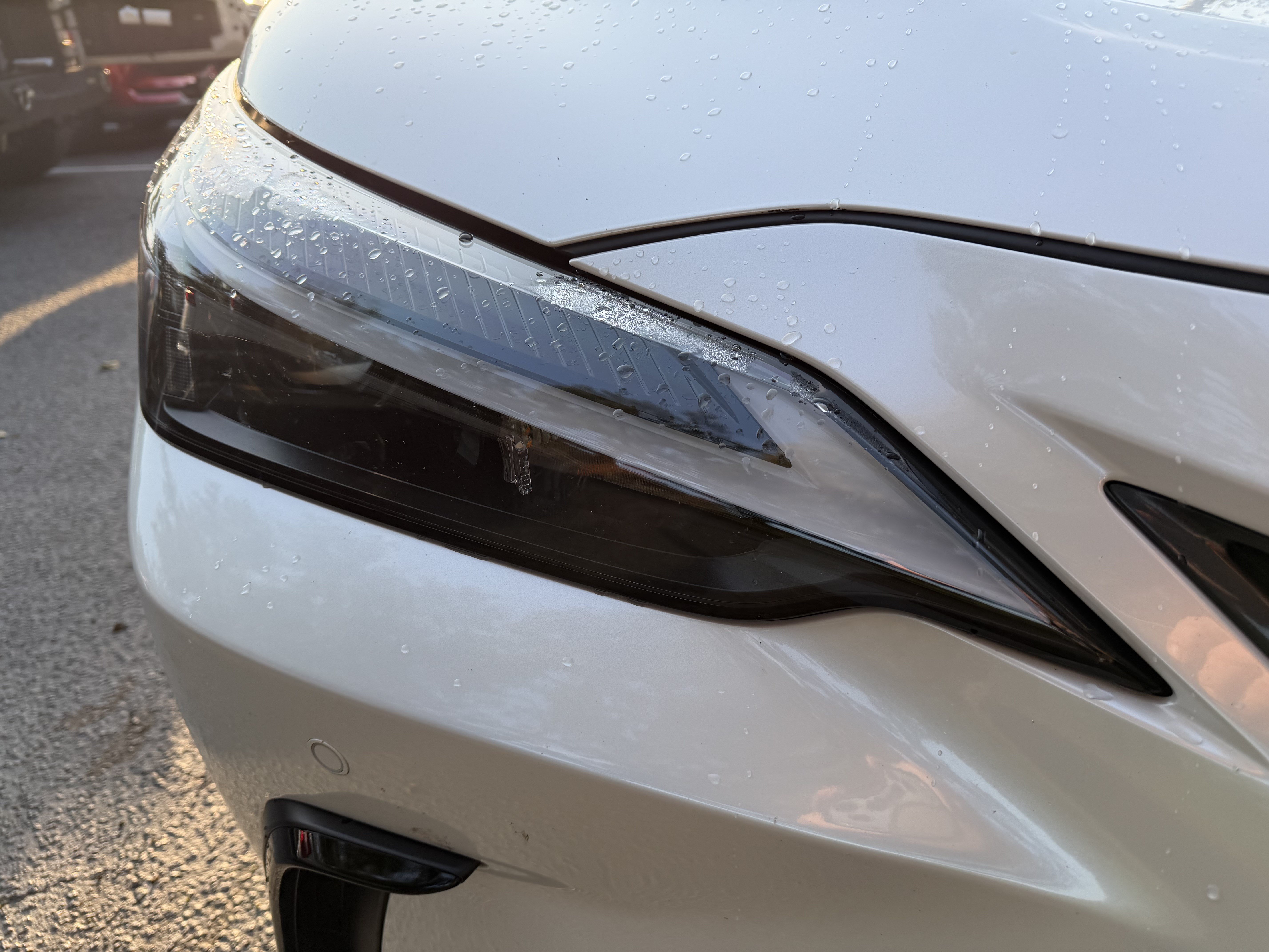 Certified 2024 Lexus NX 350 AWD image 12