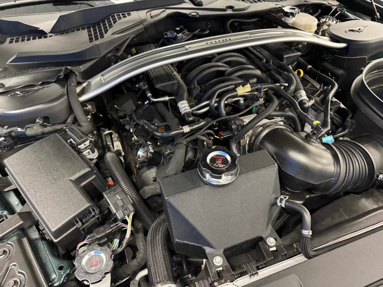 Used 2019 Ford Mustang Bullitt w/ Bullitt Electronics Package RWD image 21
