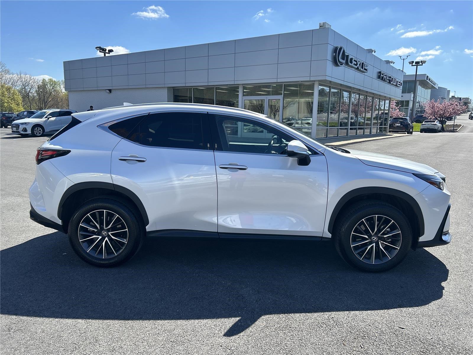 Used 2025 Lexus NX 350 AWD w/ Cold Area Package image 6