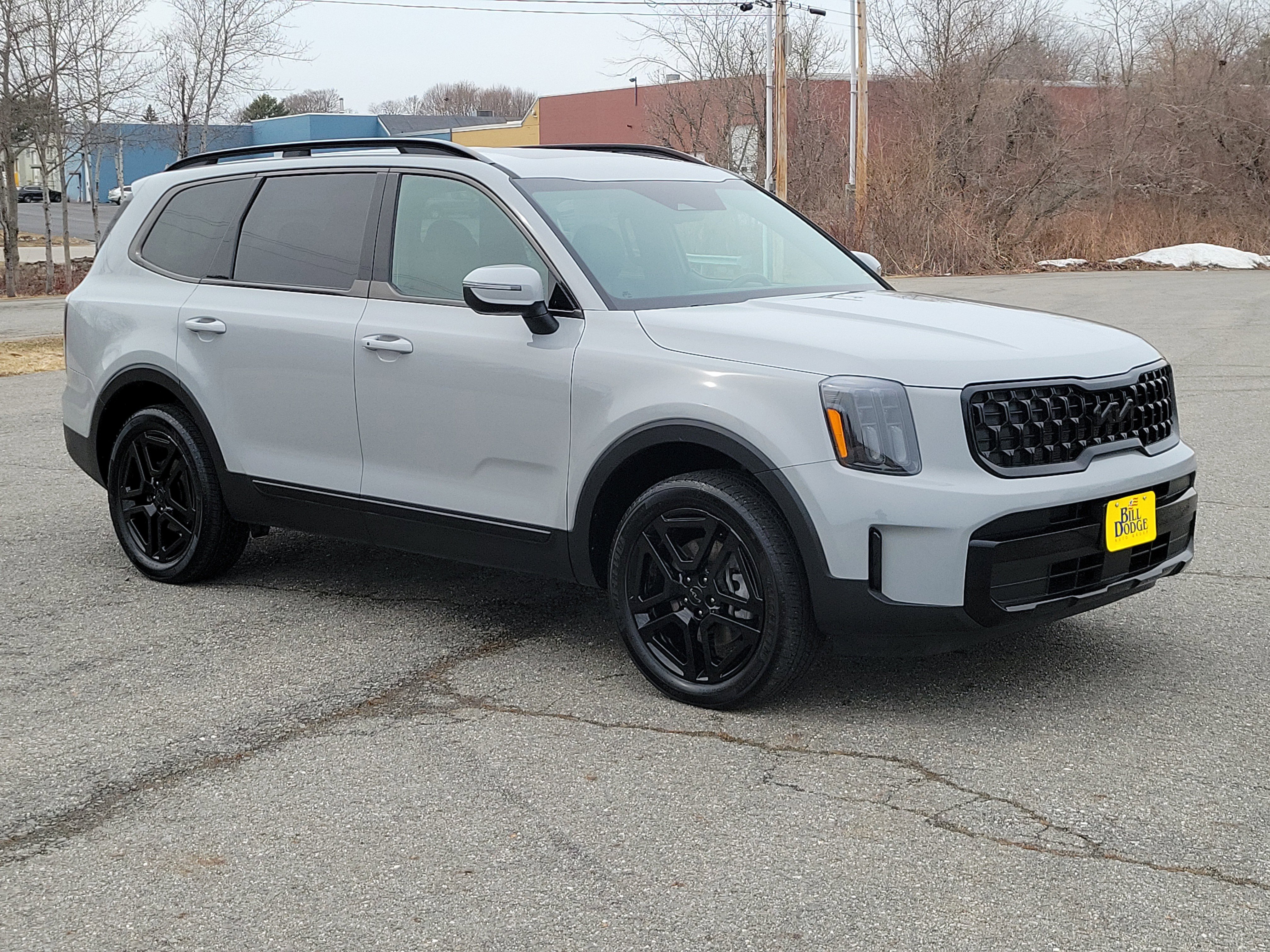 Used 2025 Kia Telluride EX X-Line image 3