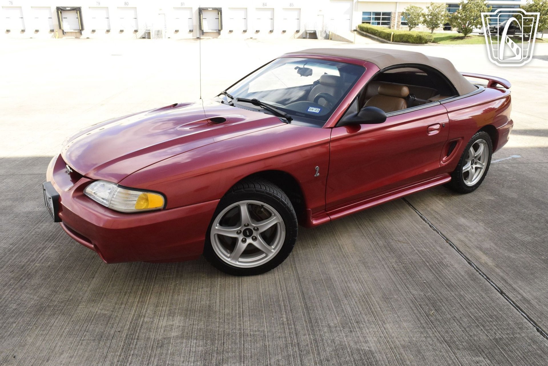 Used 1998 Ford Mustang Cobra image 36