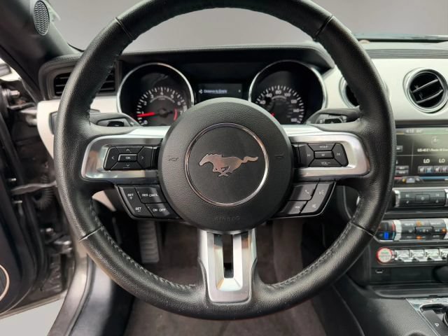Used 2015 Ford Mustang Premium w/ Equipment Group 201A RWD image 16