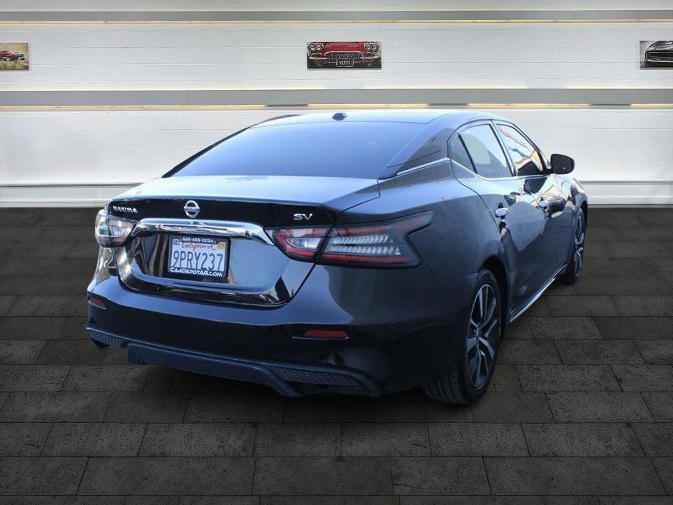 Used 2019 Nissan Maxima 3.5 SV w/ Floor Mat Group image 7