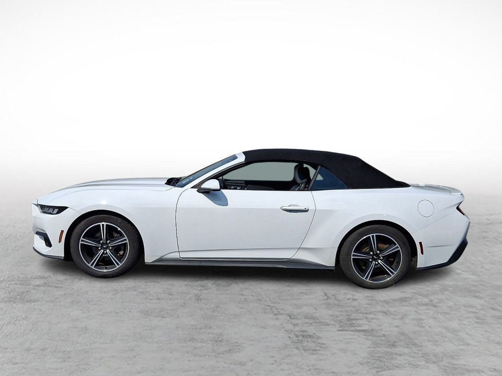 Used 2024 Ford Mustang Premium RWD image 2