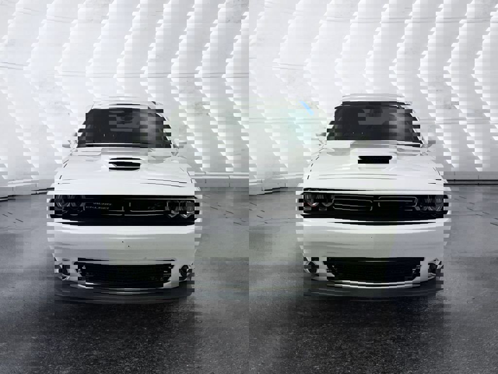 Used 2019 Dodge Challenger R/T w/ Driver Convenience Group image 2
