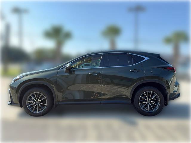 Used 2024 Lexus NX 350h AWD w/ Vision Package image 6