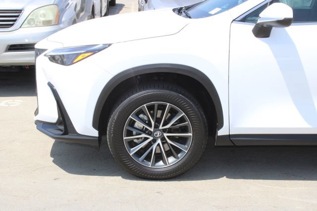Certified 2026 Lexus NX 350h AWD w/ Cold Area Package image 4