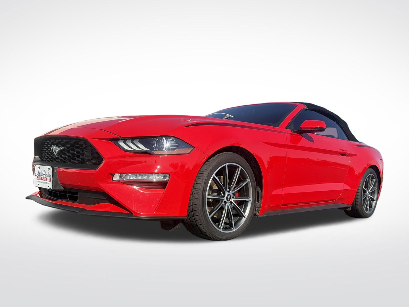 Used 2019 Ford Mustang Premium w/ Equipment Group 201A RWD image 2