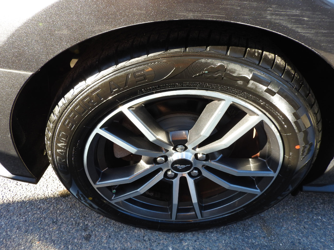 Used 2017 Ford Mustang Premium image 19