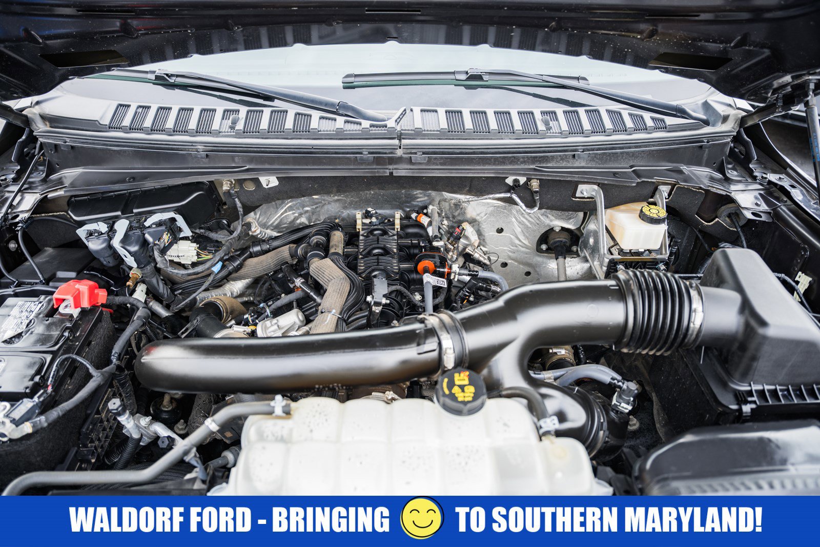 Used 2024 Ford Expedition Limited image 21