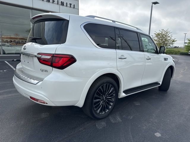 Used 2024 INFINITI QX80 Sensory w/ Cargo Package AWD/4WD image 6