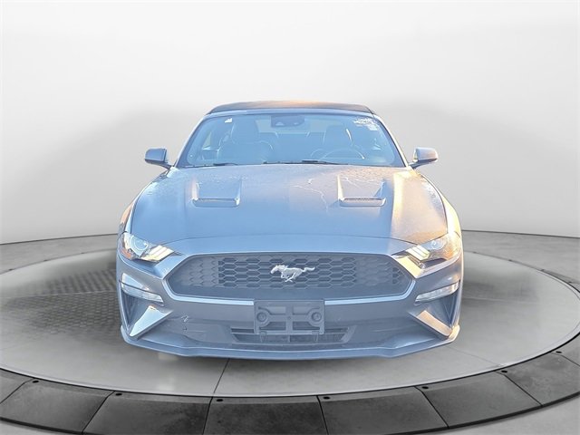 Used 2023 Ford Mustang Premium image 8