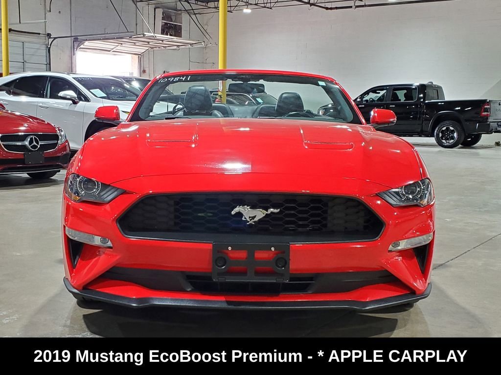 Used 2019 Ford Mustang Premium image 2