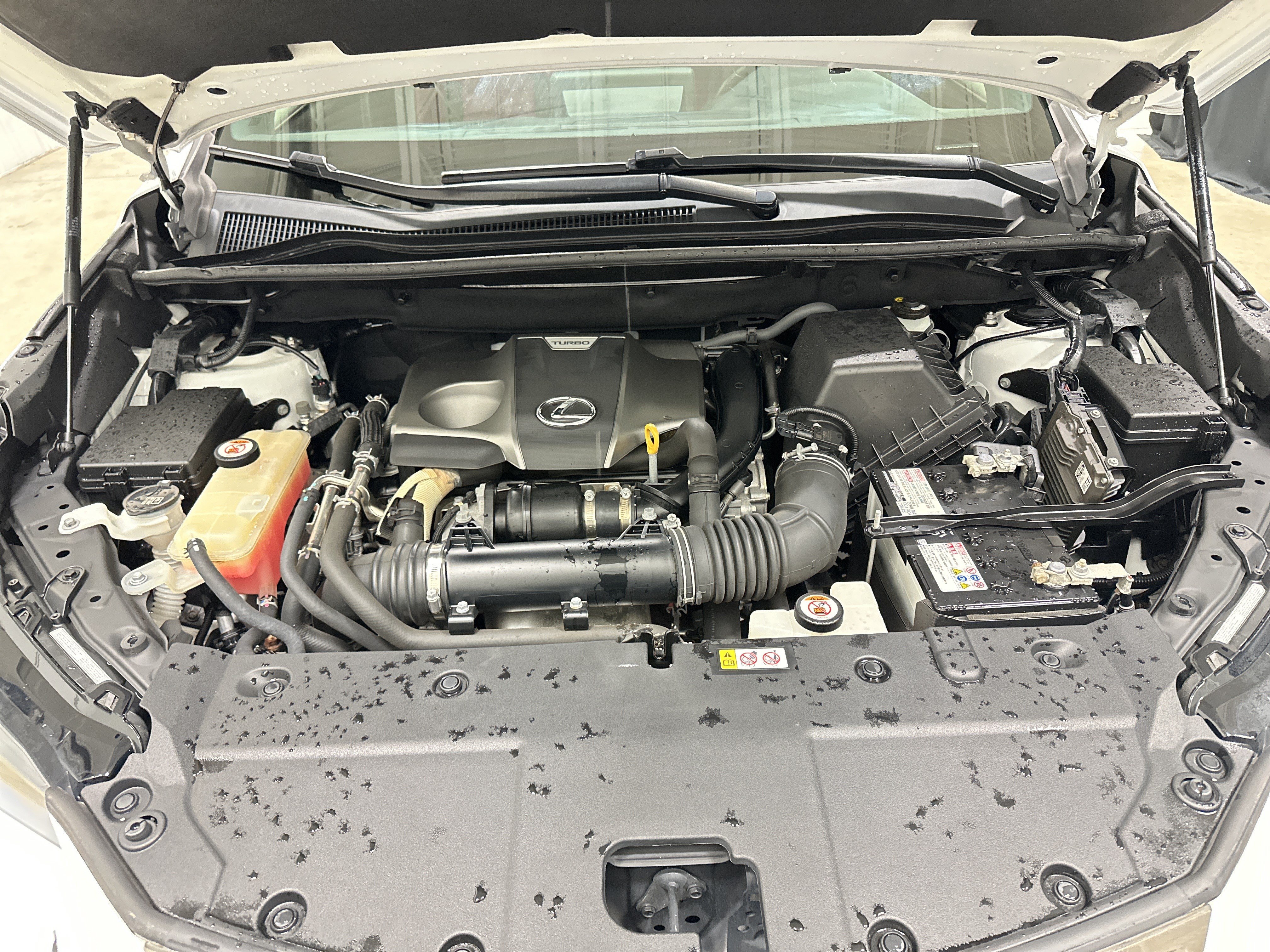 Used 2019 Lexus NX 300 F Sport w/ F Sport Comfort Package AWD/4WD image 34