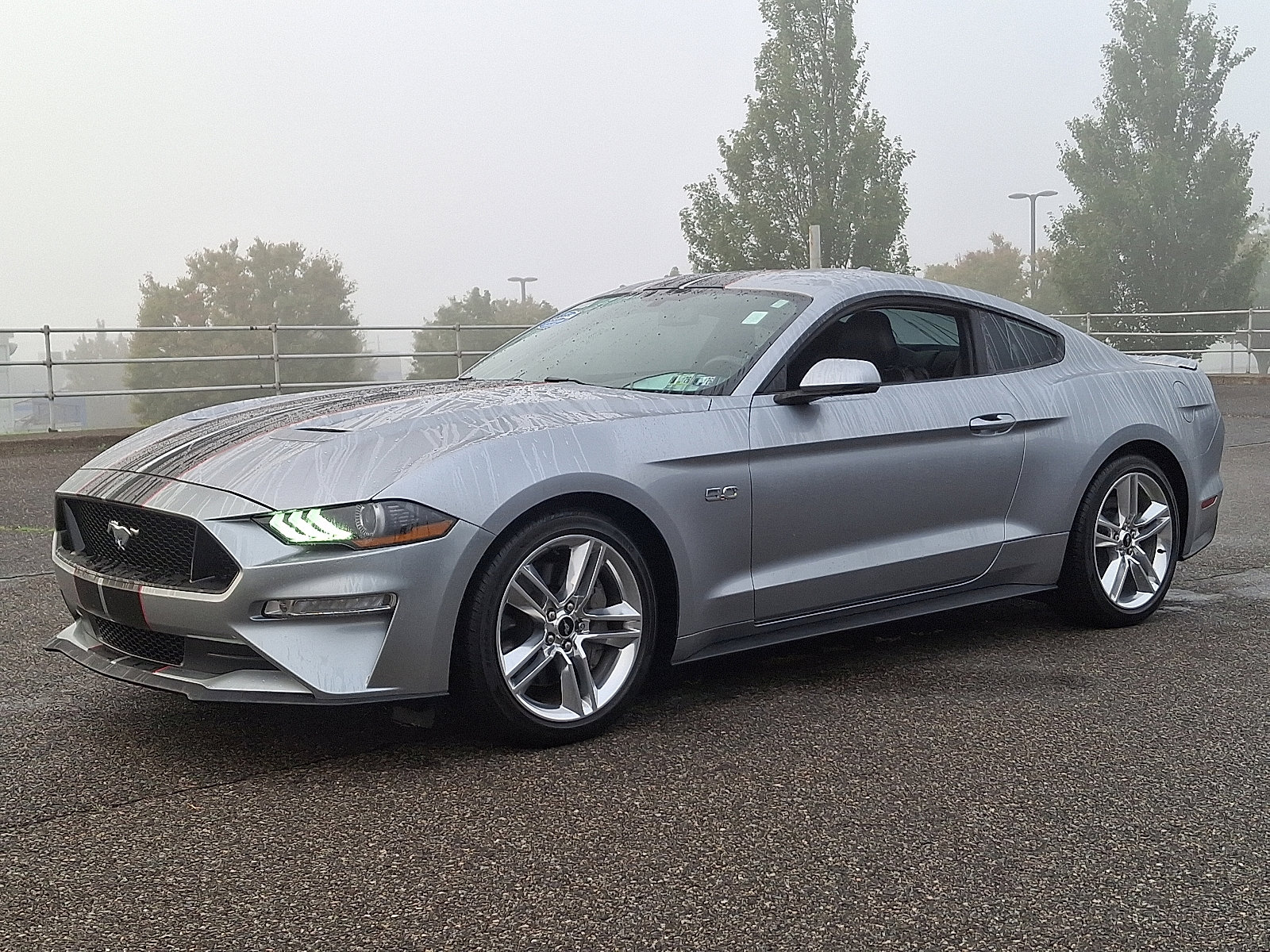 Used 2020 Ford Mustang GT Premium w/ Equipment Group 401A image 3