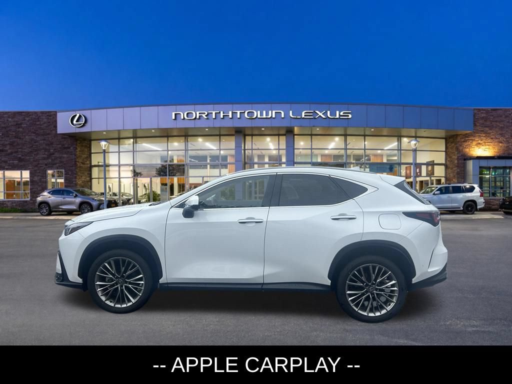 Certified 2026 Lexus NX 350h AWD w/ Cold Area Package image 3