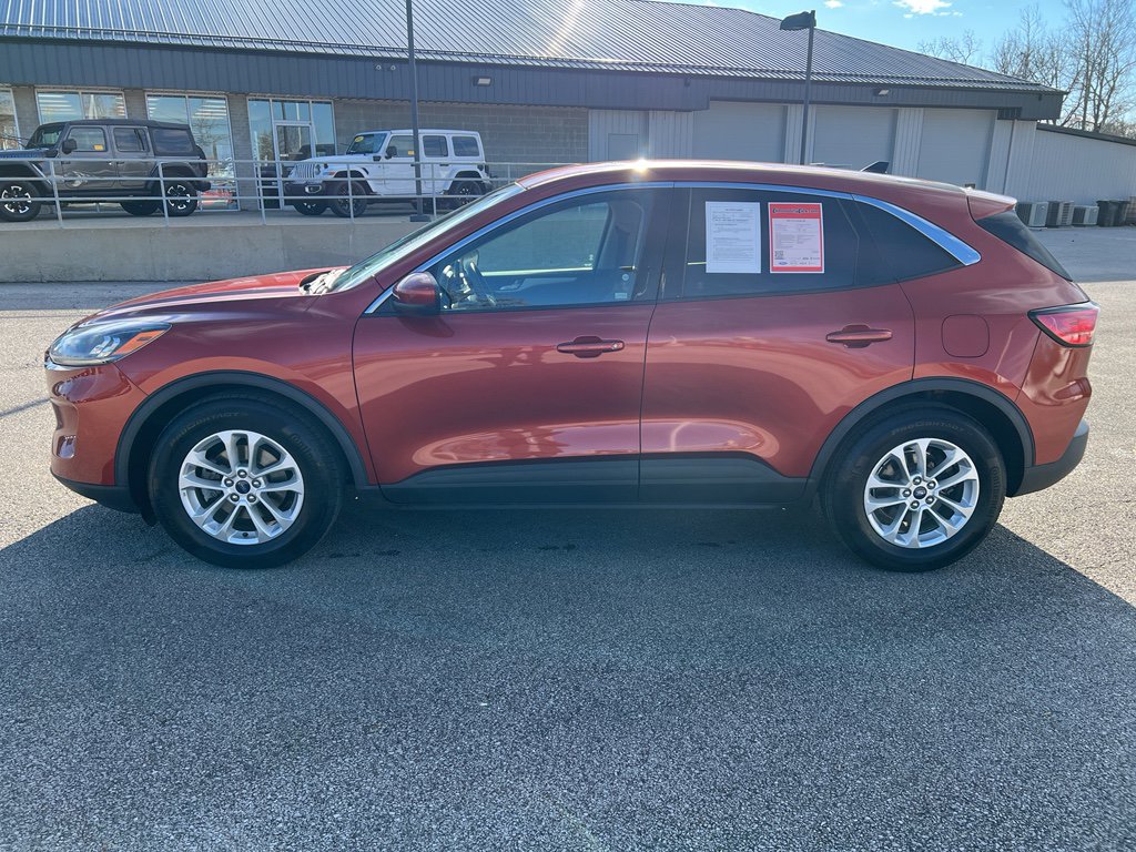 Used 2020 Ford Escape SE image 4